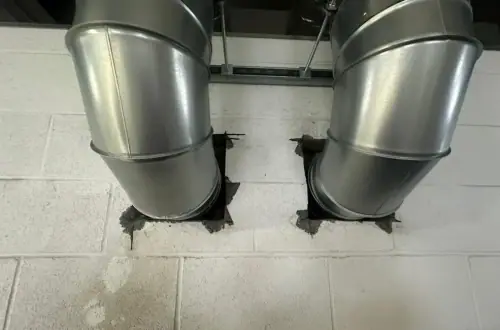 content image